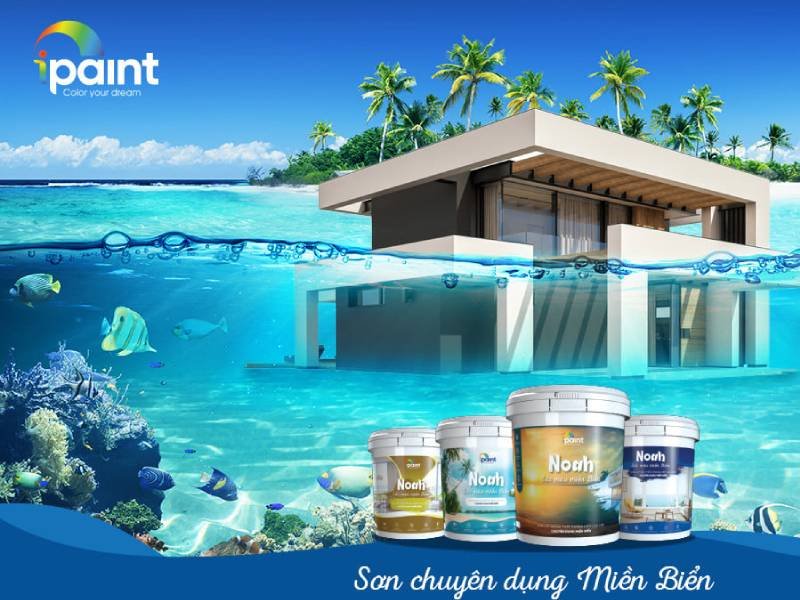 Sơn Nội Thất Chuyên Dụng Miền Biển Noah: Hô Biến Không Gian Sống Với Sắc Xanh Hiền Hòa, Tươi Mát