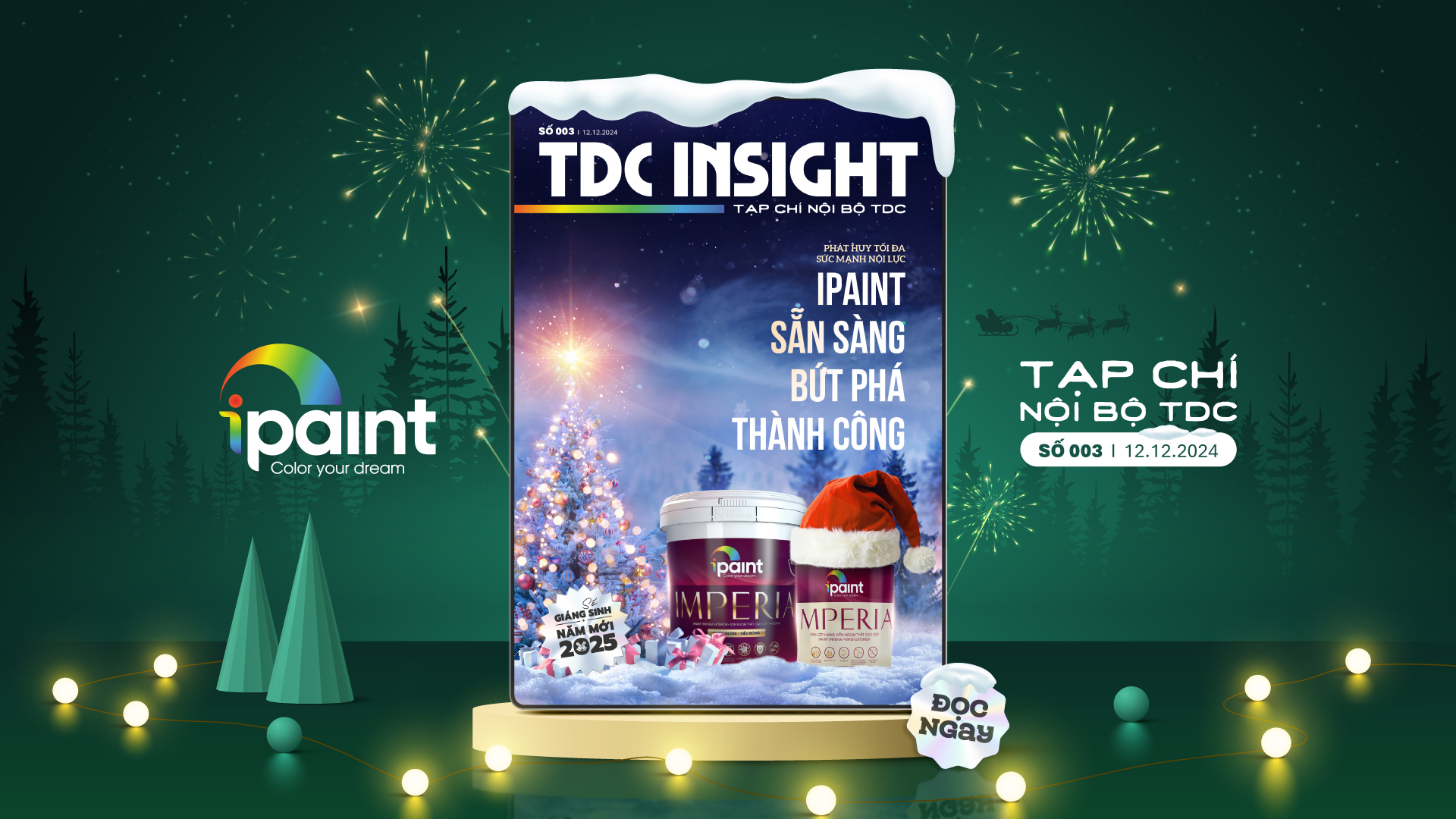 TDC INSIGHT SỐ 003 – THÁNG 12/2024